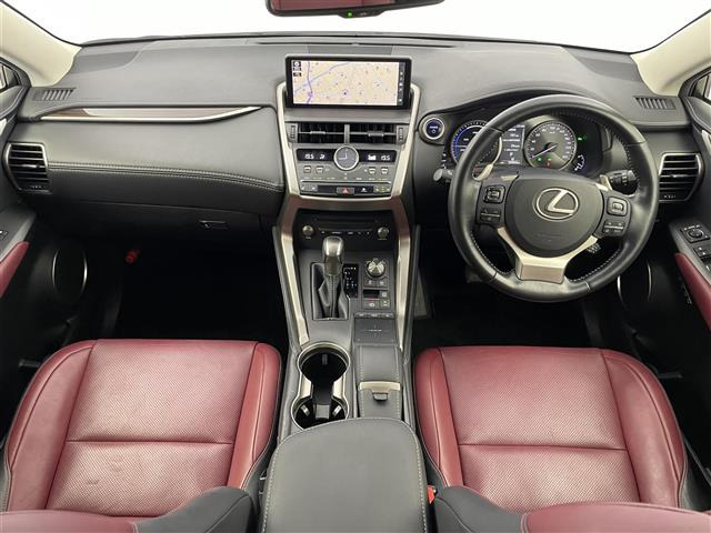 NX300h バージョンL
