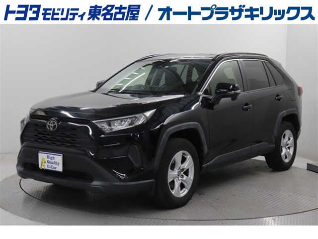 RAV42.0 X