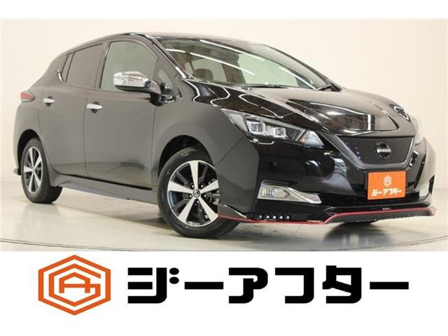 リーフe+ X