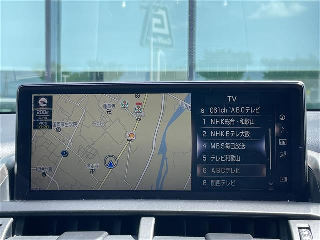 NX300h Fスポーツ