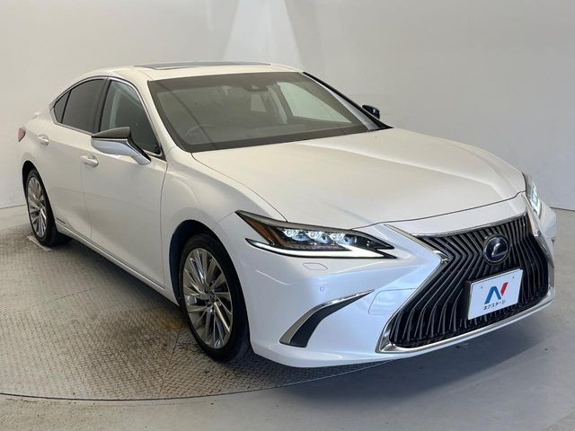 �������x�̃K���X�疌�ŝ����͂������A�㎿�ȃc���E����������B���O����_���J�����؂Ȉ��Ԃ�ی삵�A�F�����E�򉻂�h�~�B�u�e�X�v���b�V���R�[�g�v�A�u�e�v���~�b�T�R�[�g�v���炨�I�т��������܂��B