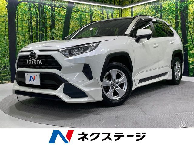 RAV42.0 X
