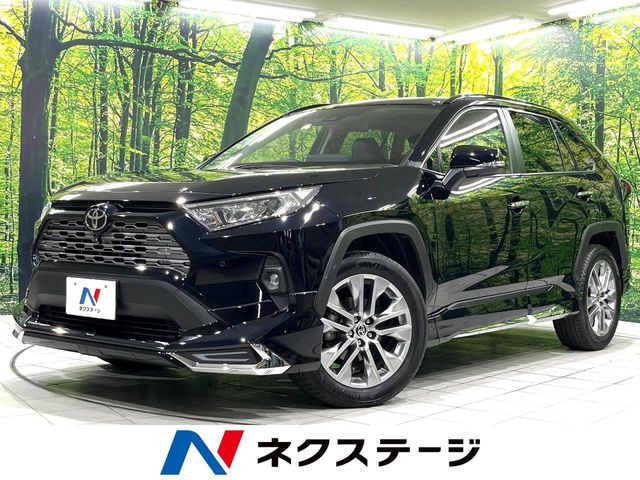 RAV4(トヨタ) 2.0 G Zパッケージ 4WD 中古車画像