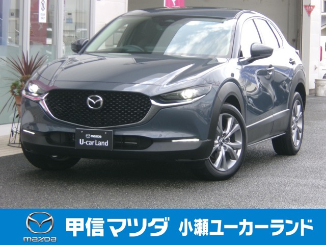 CX-301.8 XD Sパッケージ 4WD