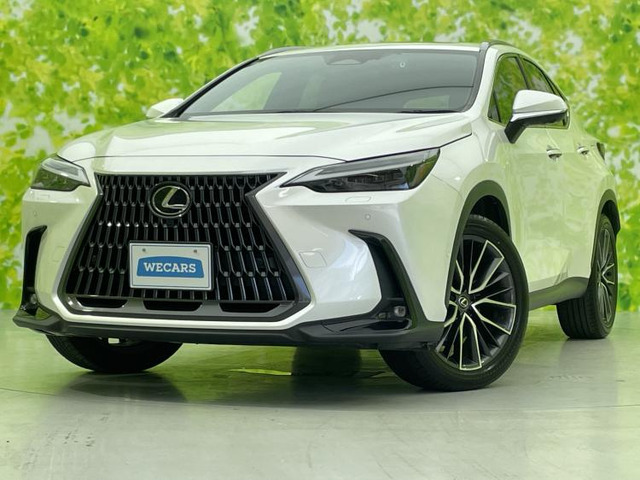 NX350h バージョンL