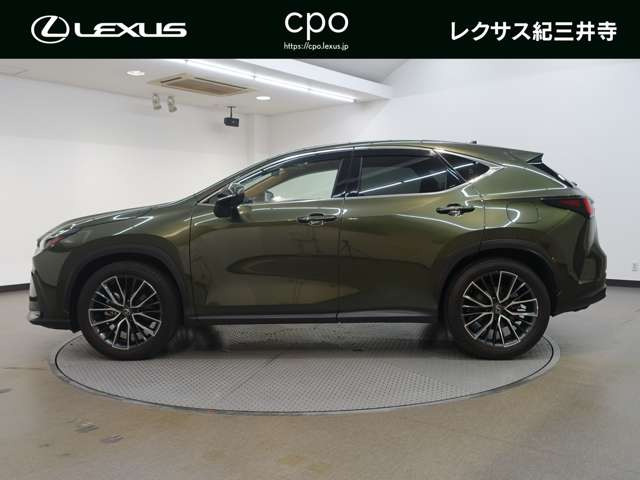NX250 バージョンL