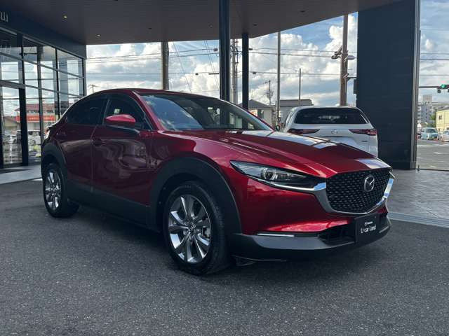 CX-301.8 XD プロアクティブ ツーリングセレクション