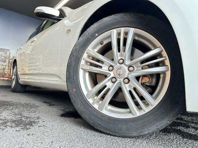 ����17�C���`�A���~�z�C�[��!�A���~�̃R�[�e�B���O��������܂�!���ꂪ���ȃA���~�z�C�[�������S�ł�!!