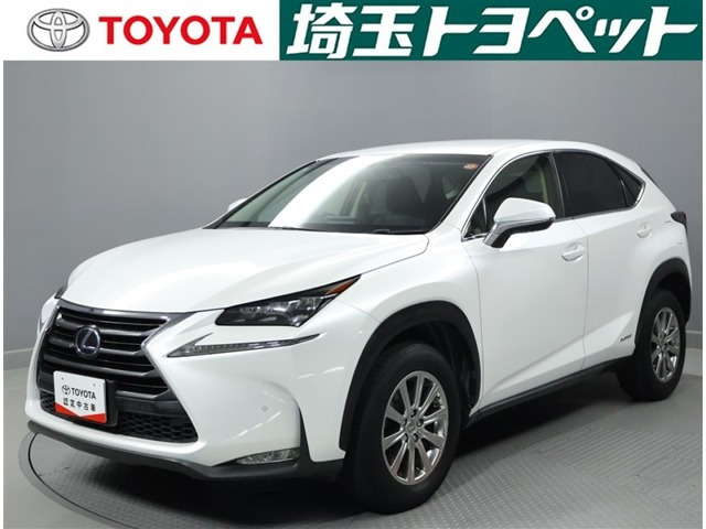 NX300h Iパッケージ