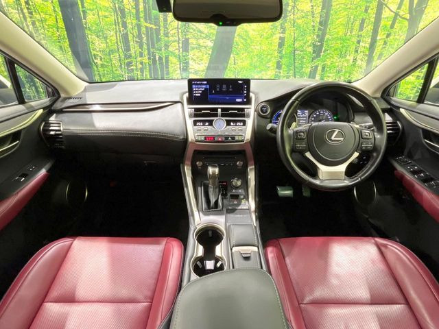 NX300h バージョンL