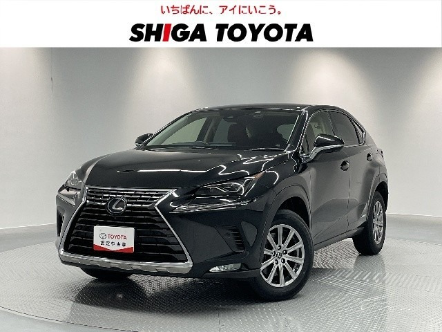NX300h Iパッケージ
