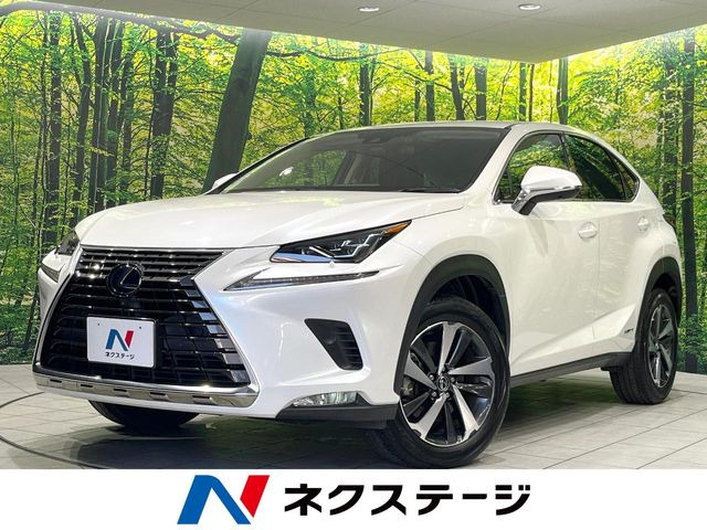 NX300h バージョンL
