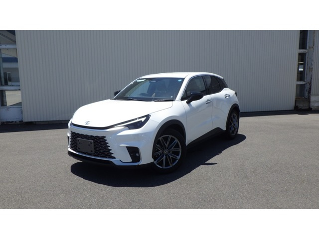 LBXリラックス E-Four 4WD