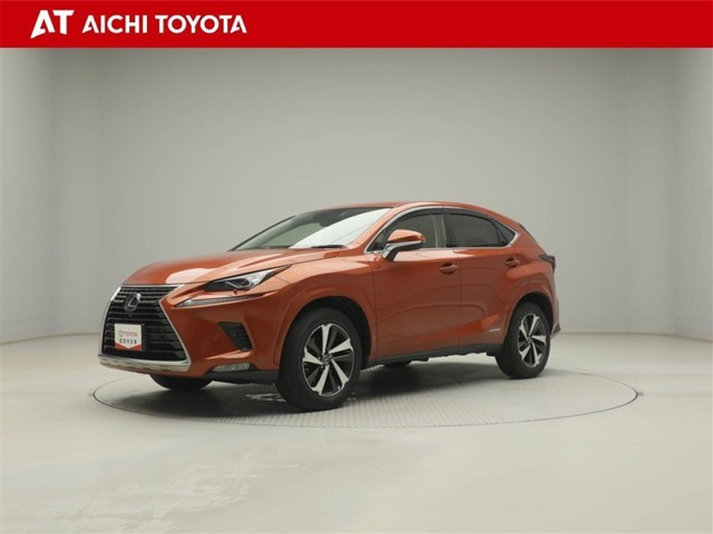 NX300h バージョンL