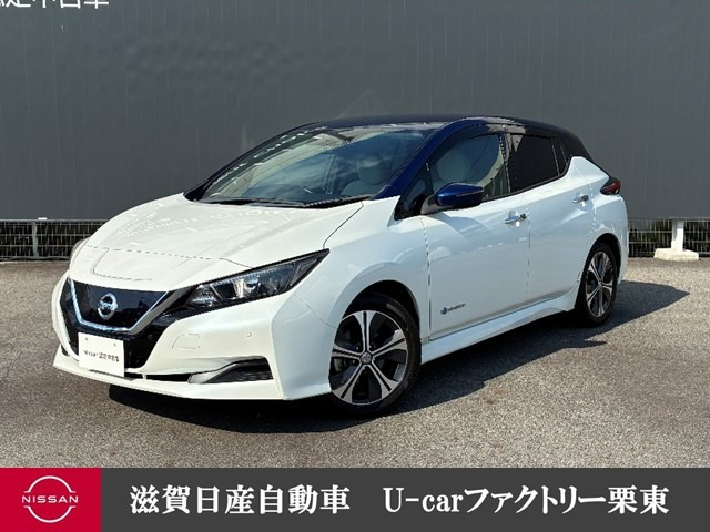 リーフX