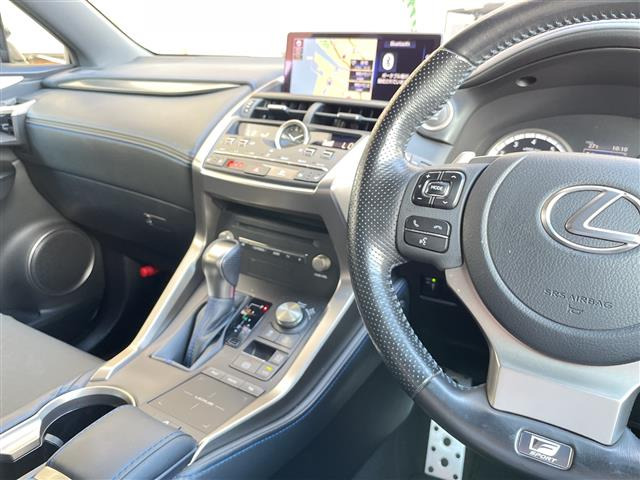 NX300 クール&amp;ブライト 4WD