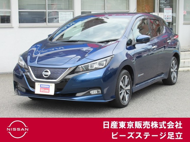 リーフe+ X