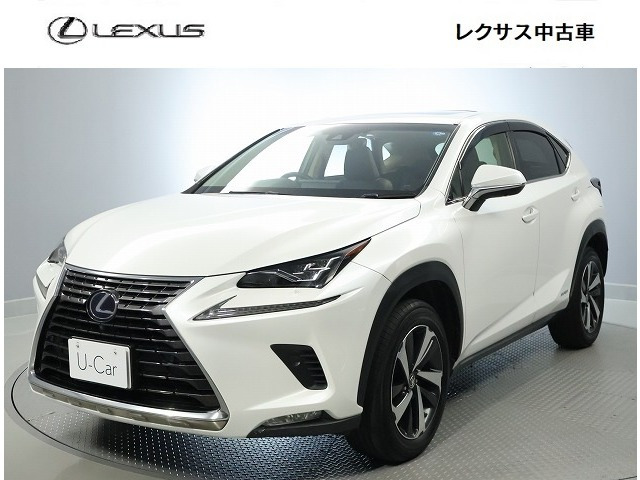 NX300h Iパッケージ 4WD
