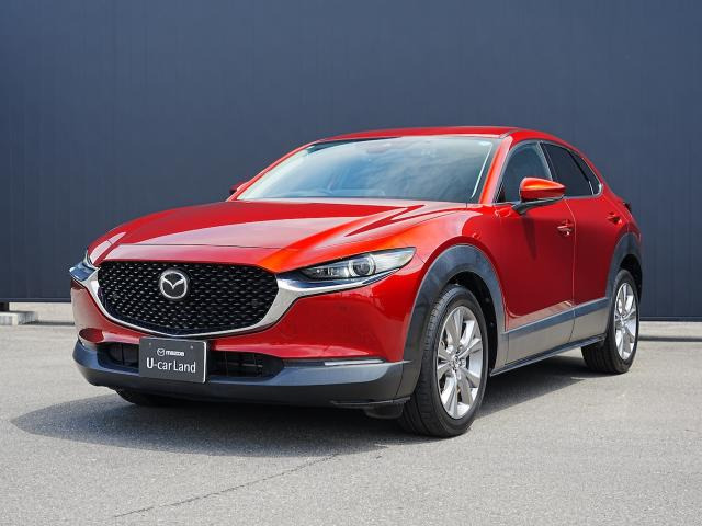 CX-301.8 XD Lパッケージ 4WD