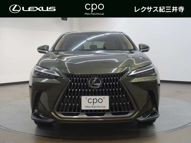 NX250 バージョンL