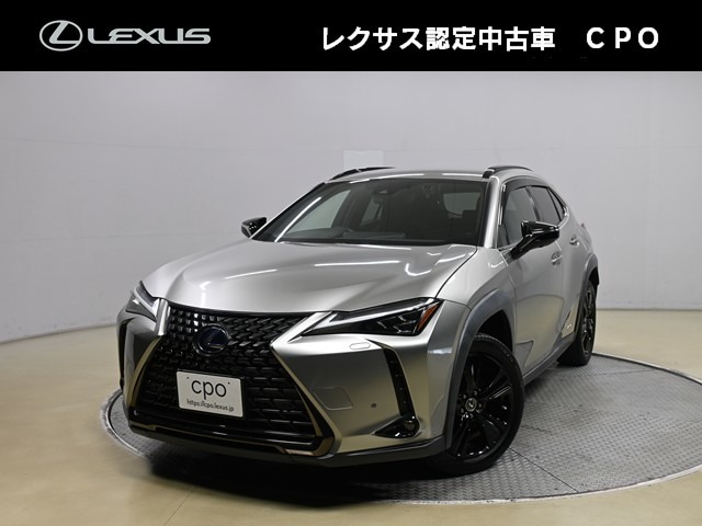 UX250h