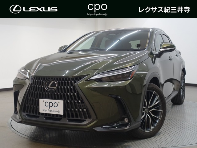 NX250 バージョンL