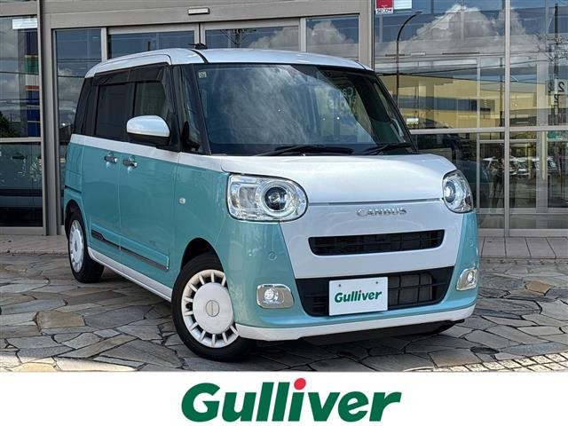 ムーヴキャンバスストライプス G