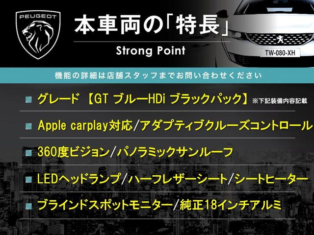 3008GT ブルーHDi ブラックパック