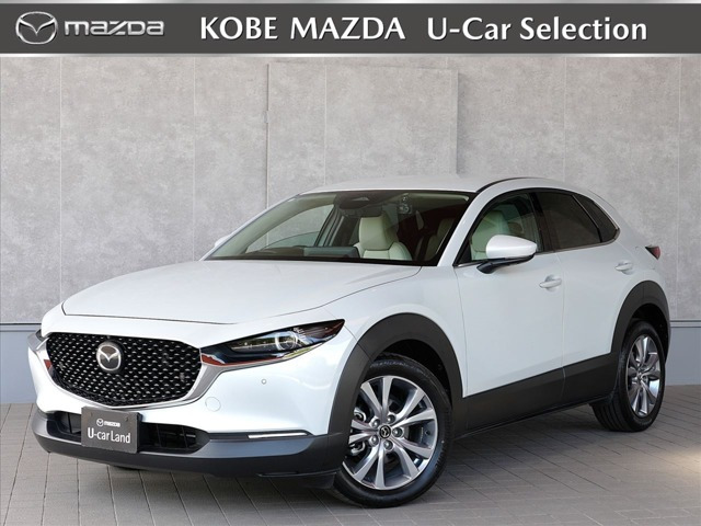 CX-301.8 XD プロアクティブ ツーリングセレクション 4WD