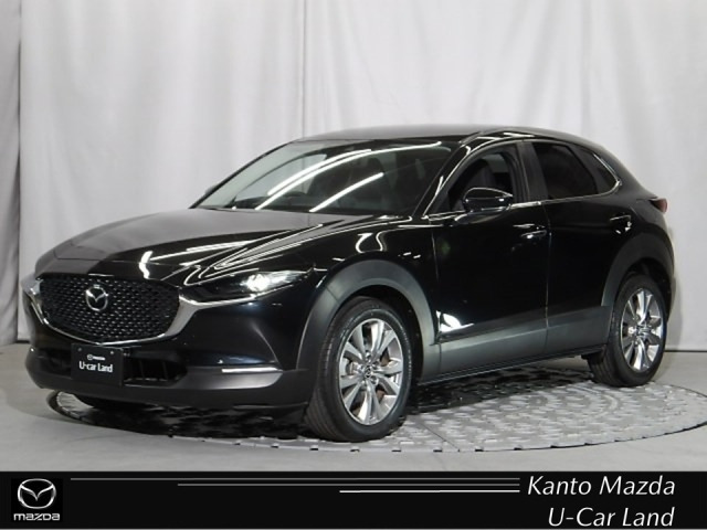 CX-302.0 20S