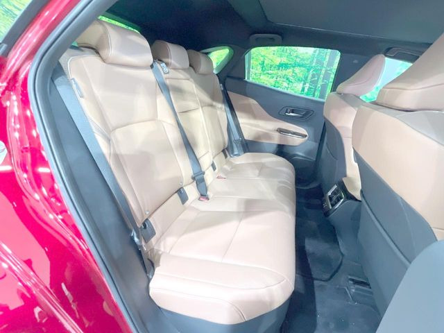 �㕔���Ȃ��C�ɂȂ�悤�ȃL�Y�E�����ւ��蓙�A�傫�ȃ_���[�W�͂Ȃ��A�ǍD�ȏ�Ԃł��B