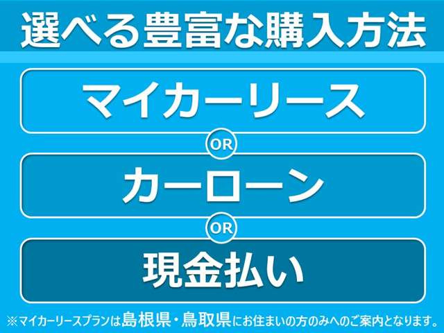 デリカミニT プレミアム リミテッド エディション 4WD