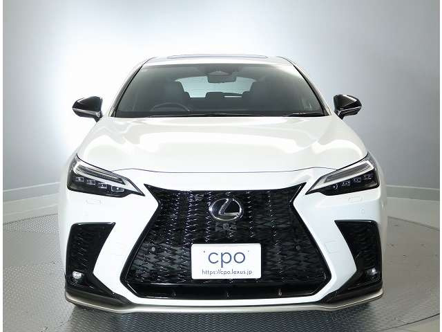 NX350h Fスポーツ