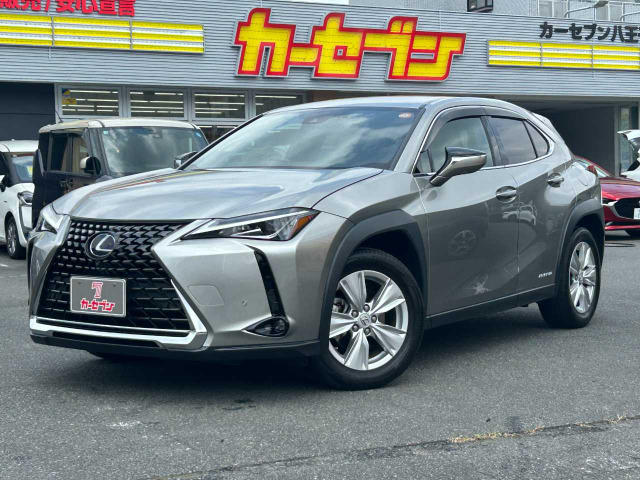 UX250h バージョンC