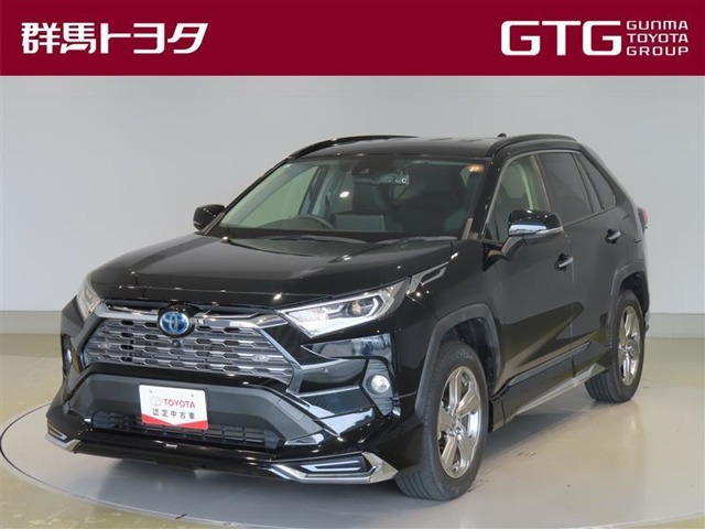 RAV42.5 ハイブリッド G E-Four 4WD