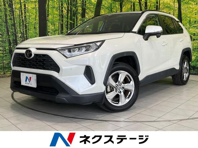 RAV42.0 X