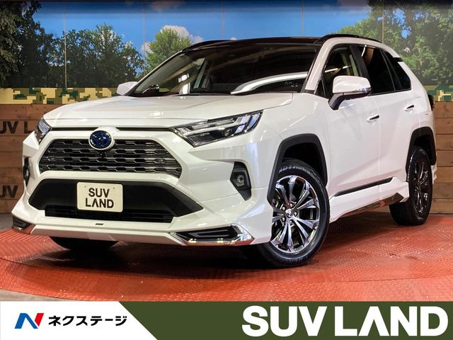 RAV42.5 ハイブリッド G E-Four 4WD