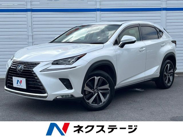 NX300h Iパッケージ