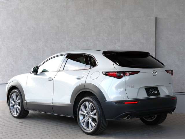 CX-301.8 XD プロアクティブ ツーリングセレクション 4WD