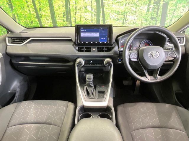 RAV42.0 X