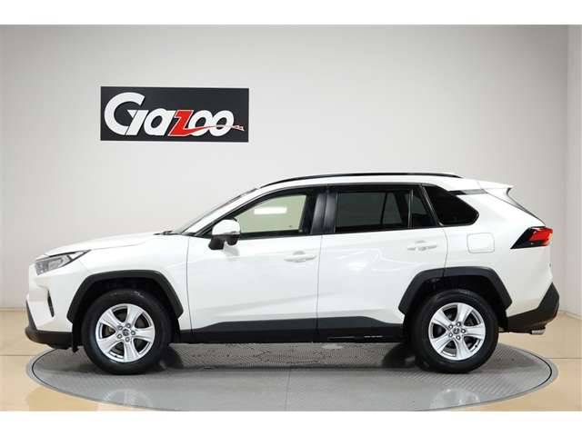 RAV42.0 X