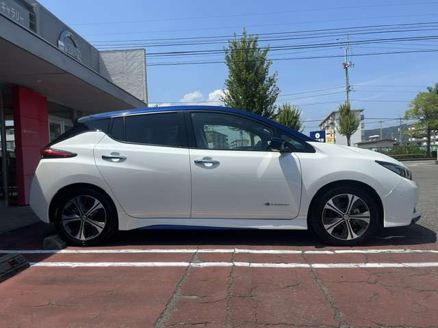 リーフG