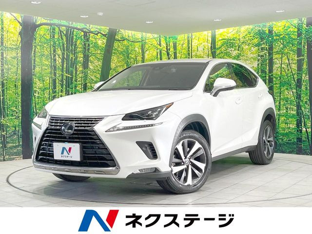 NX200t Iパッケージ