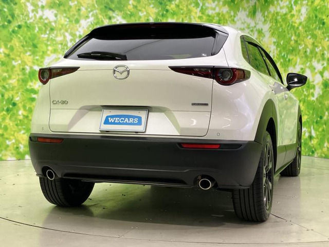 CX-302.0 20S ブラックトーンエディション