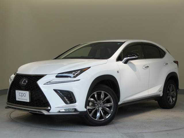 NX300h Fスポーツ