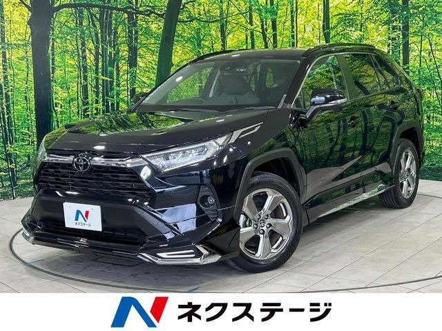 RAV42.0 X