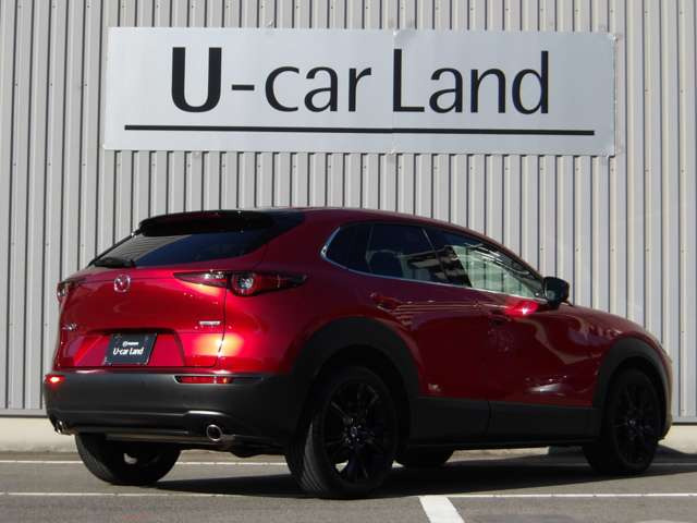 CX-302.0 20S