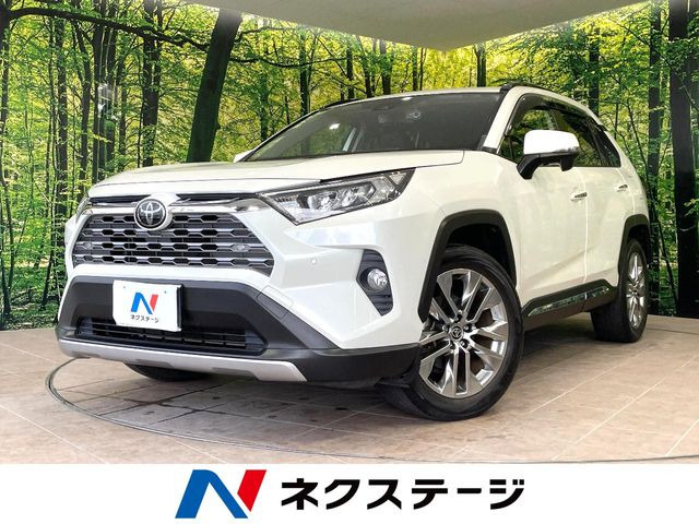 RAV42.0 G Zパッケージ 4WD