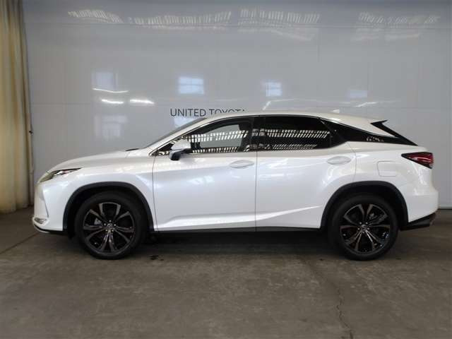 RX300 バージョンL
