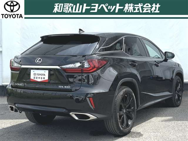 RX300 ブラック シークエンス